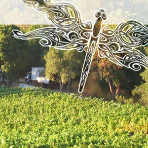 Odonata Wines Tasting Event at Annieglass Watsonville