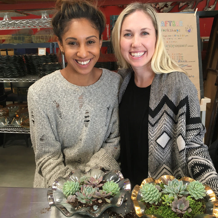 Make A DIY Succulent Garden, 10-4pm, Mon-Sat.